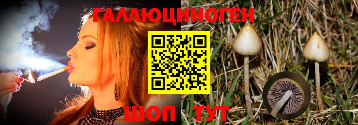Псилоцибиновые грибы мухоморы Выборг